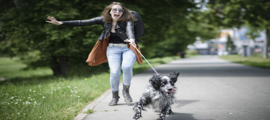 How to Stop Your Dog from Pulling on the Leash: Effective Tips for Stress-Free Walks